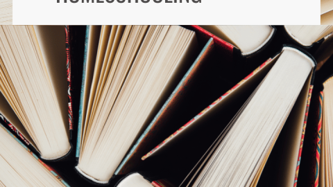 Birds eye view of standing books